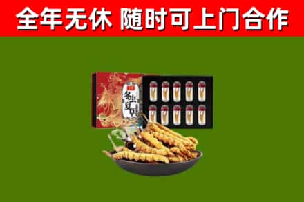 漾濞县回收冬虫夏草价格
